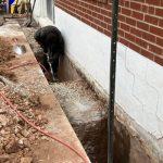 The Ultimate Checklist for Basement Waterproofing